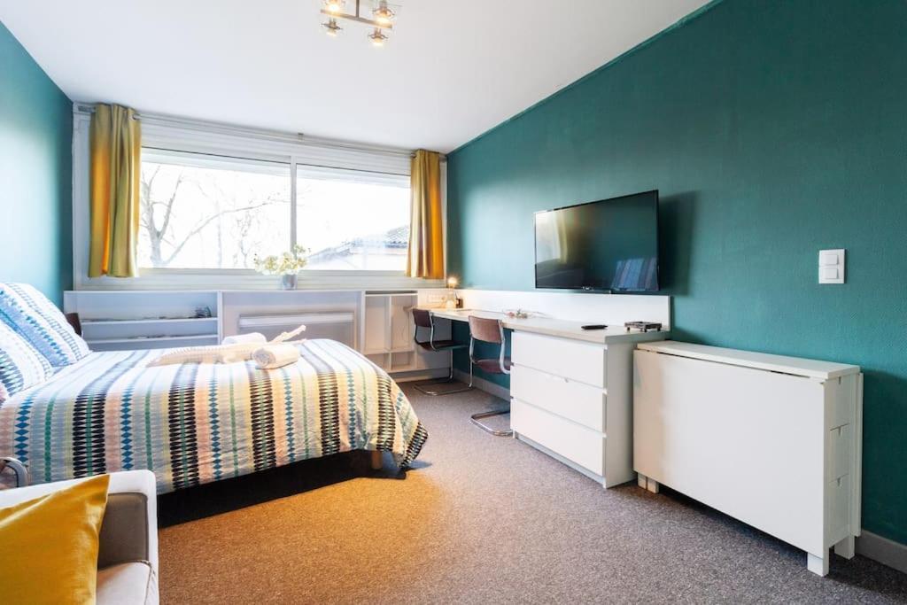 Double Appartement, Saint Michel, Parking, Wifi Тулуза Екстер'єр фото