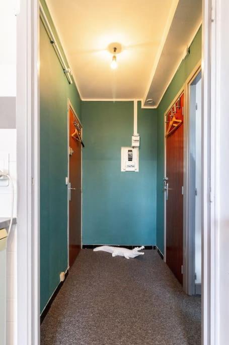 Double Appartement, Saint Michel, Parking, Wifi Тулуза Екстер'єр фото